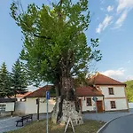 Koruna Zlatá Koruna